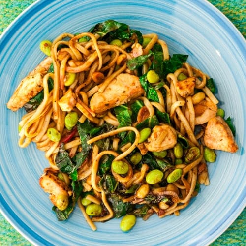 Chicken Shezwan Noodle, Happy Green Planet Family Restaurant